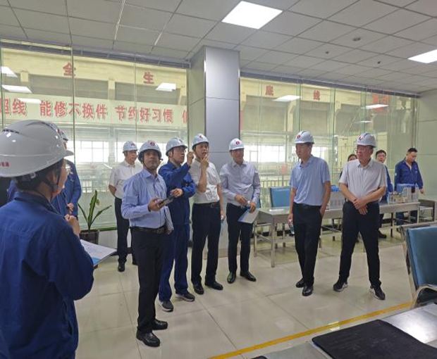 搭建国际合作交流桥梁：中钢热能院协助印度公司考察工作取得积极进展
