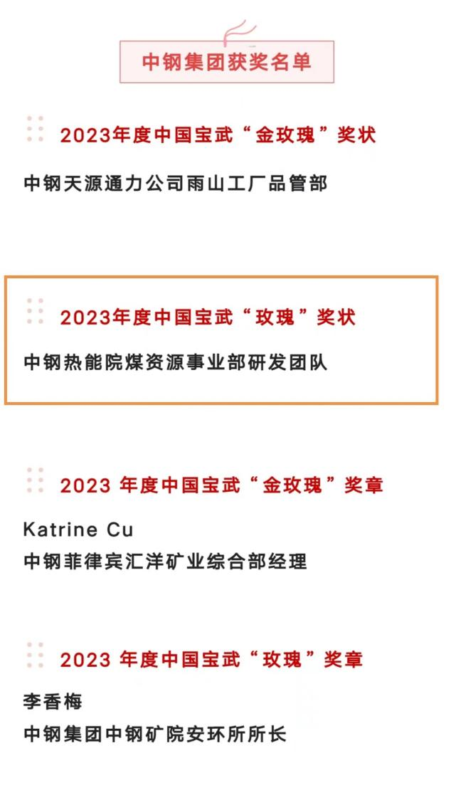 柔肩挑重担，“煤”丽绽光芒：中钢热能院煤资源事业部研发团队荣获“玫瑰奖状”